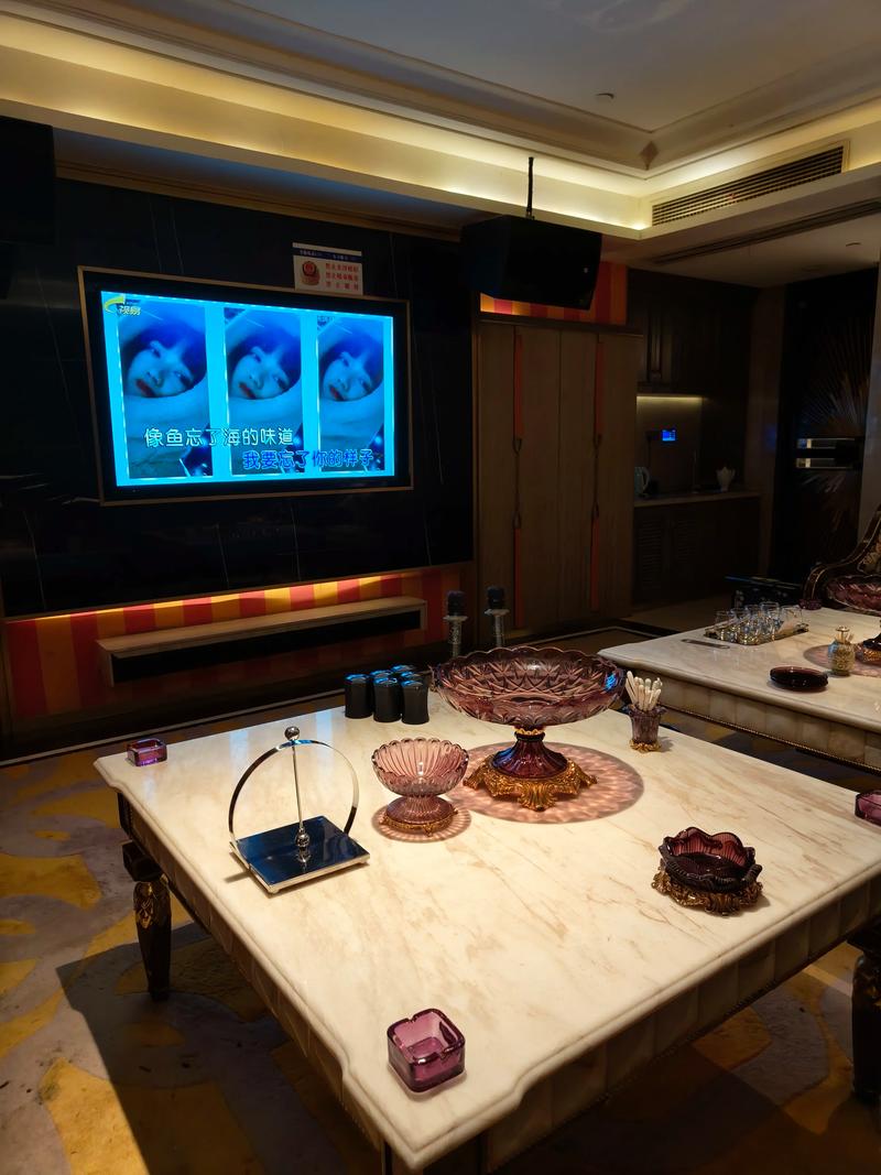 枣庄商务ktv推荐商务ktv哪里有-台儿庄区ktv预定